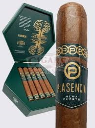 Plasencia Alma Fuerte Sixto I (6*60) Hexagono